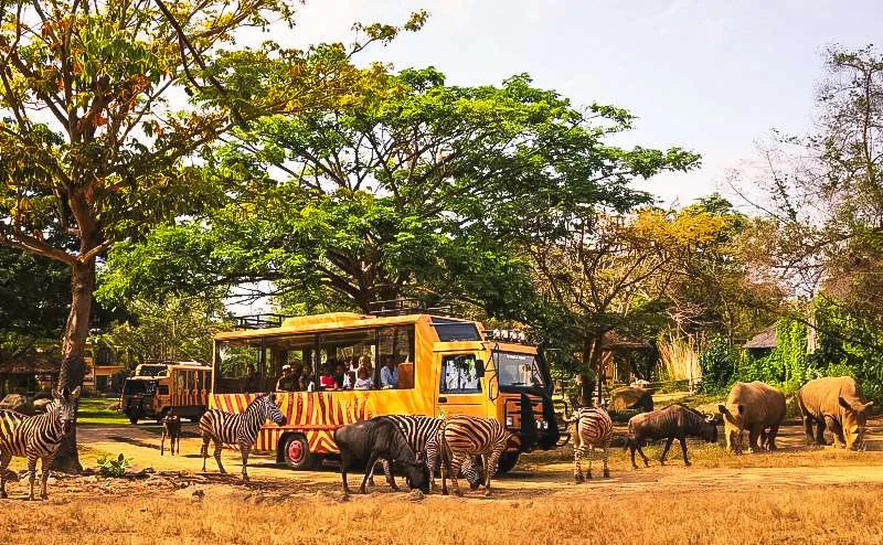 Bali Haven Wildlife Encounter